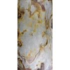 Łupek Fornir kamienny naturalny dekoracyjny elewacyjne Indian Autum 122x61