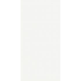 Glazura Ścienna Łazienkowa Płytka Ceramiczna Blanco Brillo 60x30