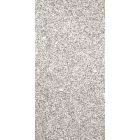 Płytki granitowe kamienne naturalne Bianco Crystal Grey 61x30,5x1 cm matowe