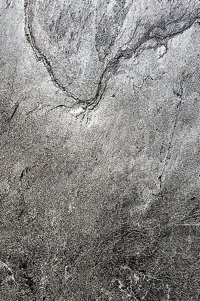 Łupek Fornir kamienny naturalny dekoracyjny elewacyjne South Grey 122x61